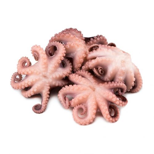 Pulpo Baby