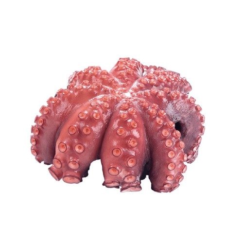 pulpo mexicano